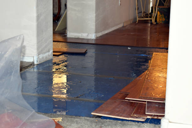 Professional Burst Pipe Cleanup technician working in Canyon Lake, TX
